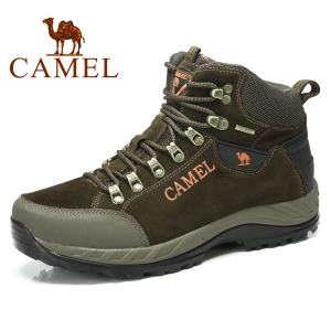 Camel/骆驼 82330608
