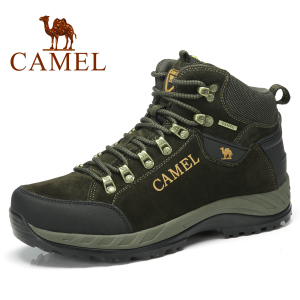 Camel/骆驼 82330608