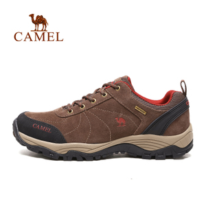 Camel/骆驼 A532026515