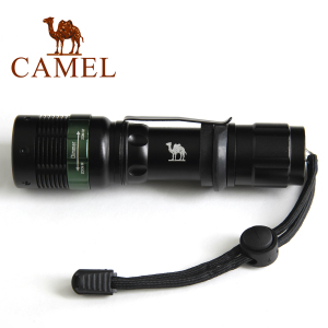 Camel/骆驼 2SA6815