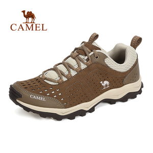 Camel/骆驼 A612332145