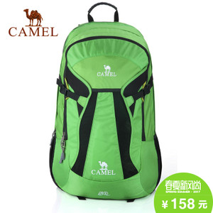Camel/骆驼 2S04012