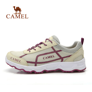Camel/骆驼 A92119613