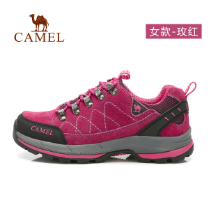 Camel/骆驼 A94303620