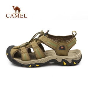 Camel/骆驼 A93309605