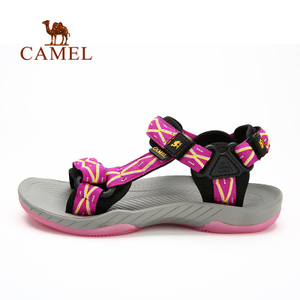 Camel/骆驼 A51162601