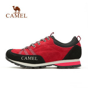 Camel/骆驼 A94119616