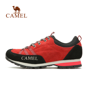 Camel/骆驼 A94119616