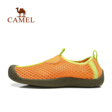 Camel/骆驼 81119606