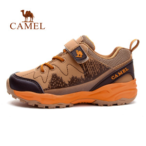 Camel/骆驼 A540261853