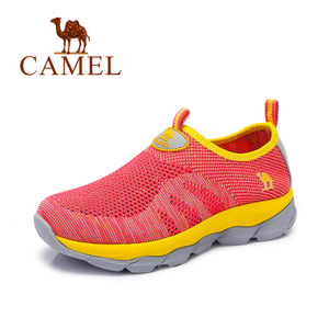 Camel/骆驼 A61303620