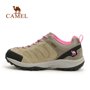 Camel/骆驼 A53119602