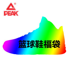 Peak/匹克 E43421A