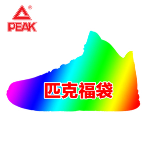 Peak/匹克 E41141A