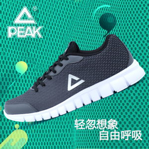 Peak/匹克 DH620293