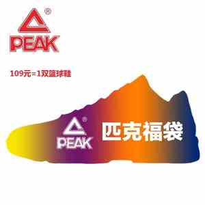 Peak/匹克 E43071A