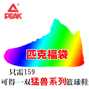 Peak/匹克 E43261A