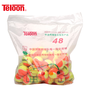 Teloon/天龙 mini