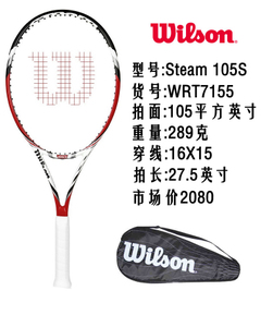 Wilson/威尔胜 Steam