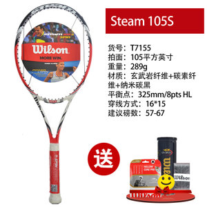 Wilson/威尔胜 Steam