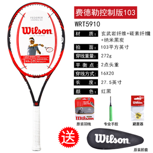 Wilson/威尔胜 federer