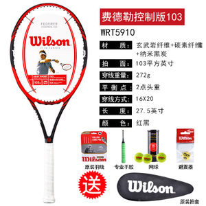 Wilson/威尔胜 federer