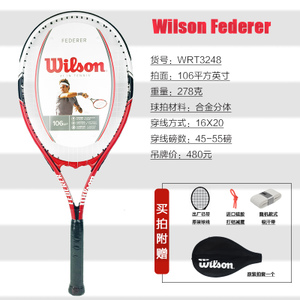 Wilson/威尔胜 federer
