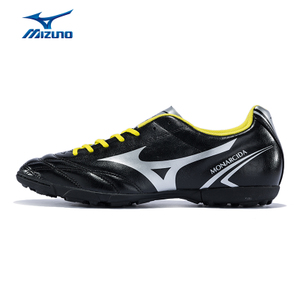 2016Q1MIZUNOMOND