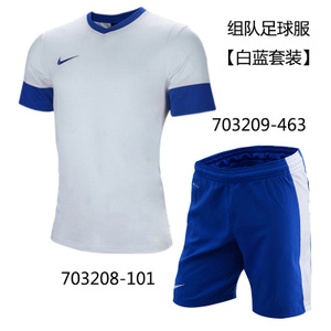 Nike/耐克 703208-101