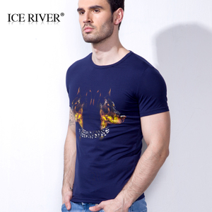 ICE RIVER/上古冰河 AC066