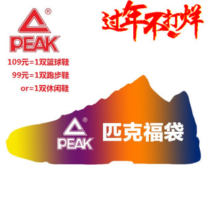 Peak/匹克 E41101A