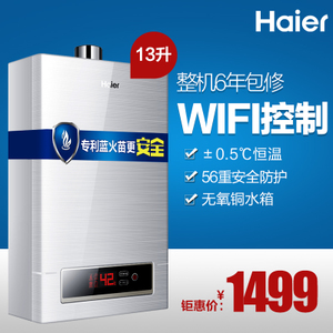 Haier/海尔 JSQ25-13WT1