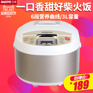 Sanyo/三洋 DF-L304