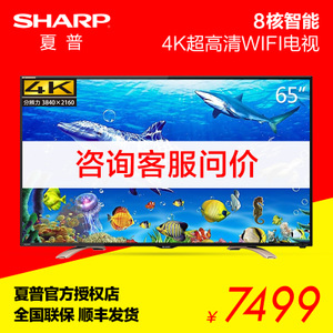 Sharp/夏普 LCD-65S3A