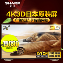 Sharp/夏普 110V-240V-50Hz-250W