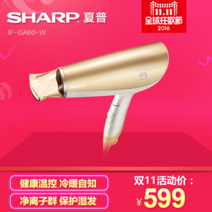 Sharp/夏普 IF-GA60-W