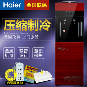 Haier/海尔 Y1568