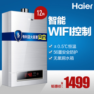 Haier/海尔 JSQ24-WT1