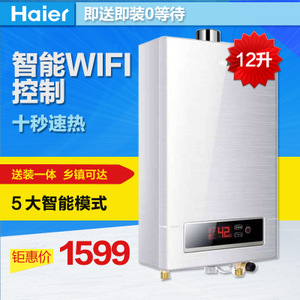 Haier/海尔 JSQ24-WT1