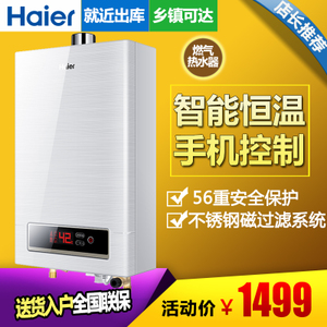 Haier/海尔 JSQ24-WT1