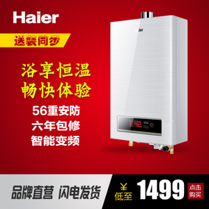 Haier/海尔 JSQ24-WT1