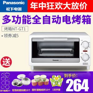 Panasonic/松下 NT-GT1