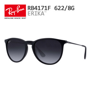 Rayban/雷朋 RB4171F