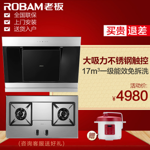 Robam/老板 25A358G6