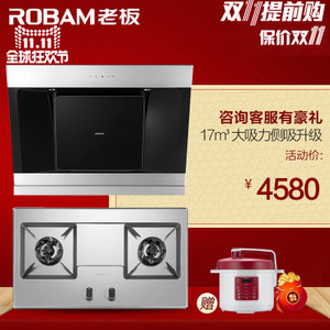 Robam/老板 25A358G6