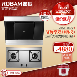 Robam/老板 25A358G6