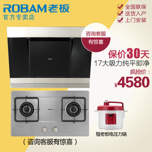 Robam/老板 25A333G1