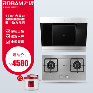 Robam/老板 25A333G1