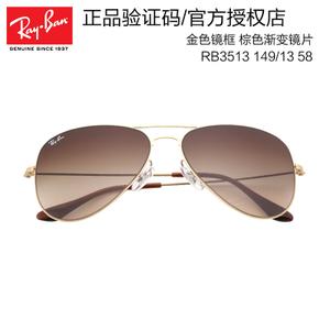 Rayban/雷朋 RB3513