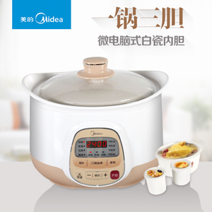 Midea/美的 MD-BZS22A